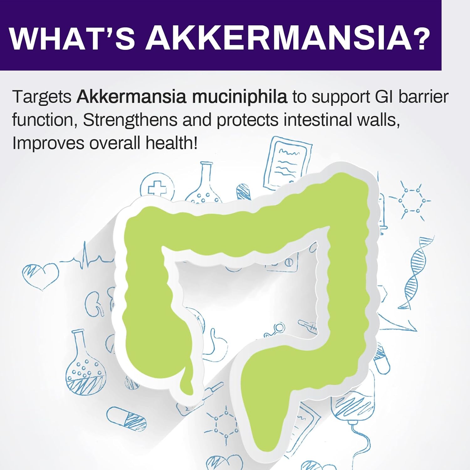 300 mil millones de AFU Akkermansia Muciniphila – Probióticos vivos para mujeres y hombres, para GLP-1, probióticos para digestivo, intestino,