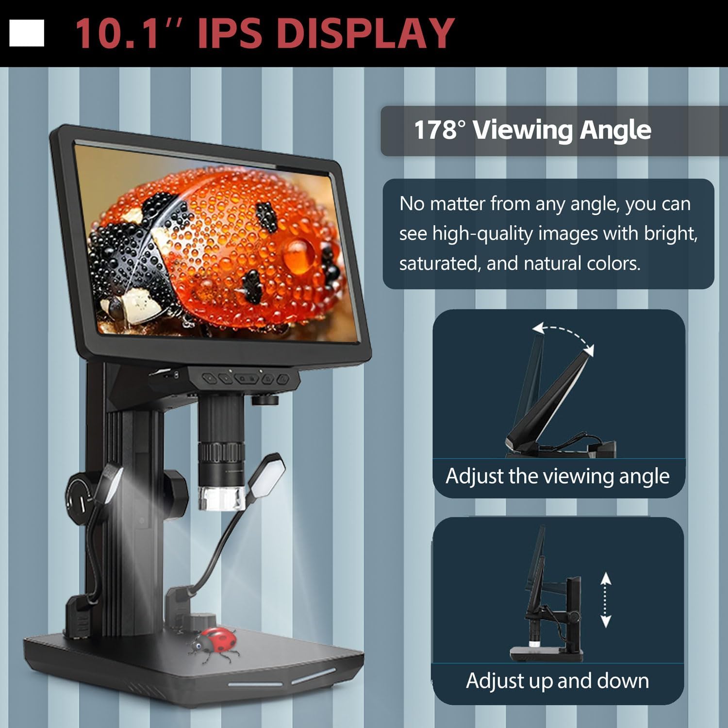 Microscopio digital HDMI, pantalla de 10.1 pulgadas, microscopio de moneda 1600X, imagen de video 1440P de 48 MP, aumento recargable para adultos,
