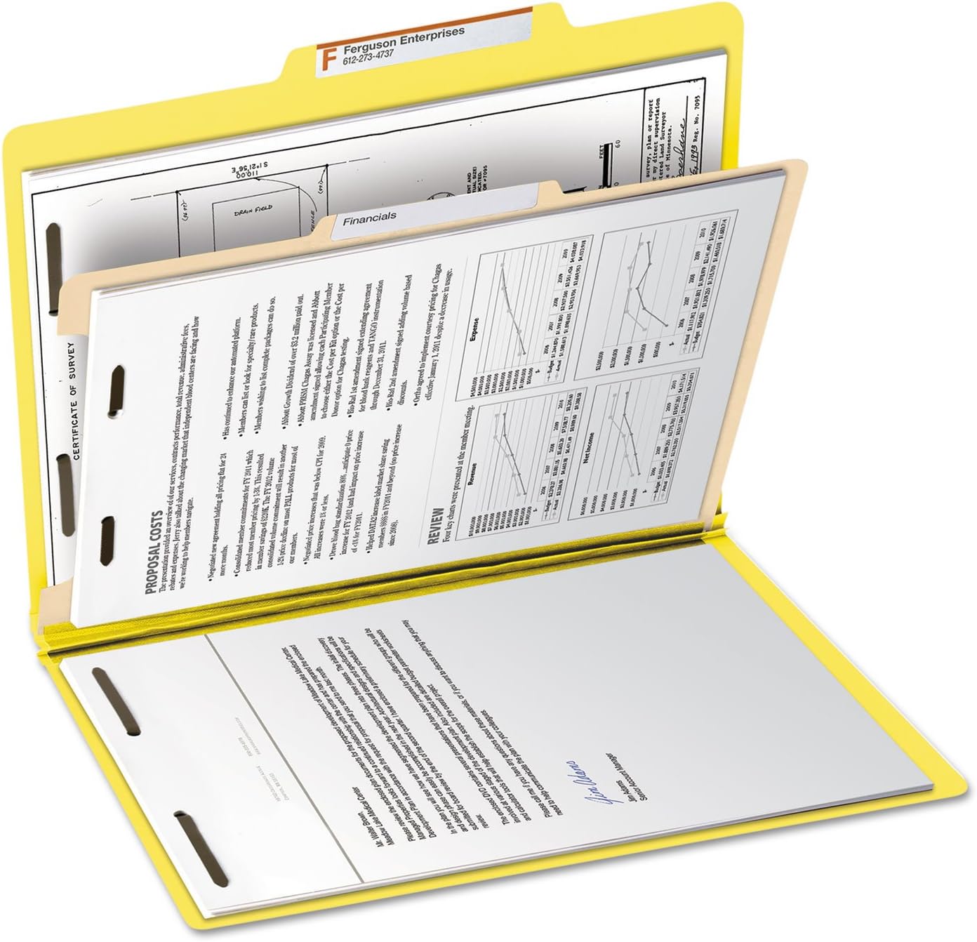 Smead carpeta de clasificación, Amarillo