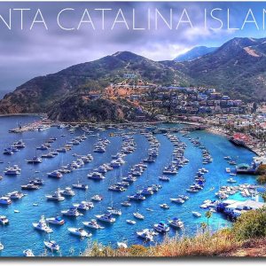 Imán para nevera de Santa Catalina Island, California, tamaño 2.5″ x 3.5″ Imán para nevera de Santa Catalina Island, California, tamaño 2.5″ x 3.5″