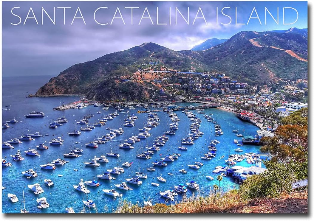 Imán para nevera de Santa Catalina Island, California, tamaño 2.5″ x 3.5″