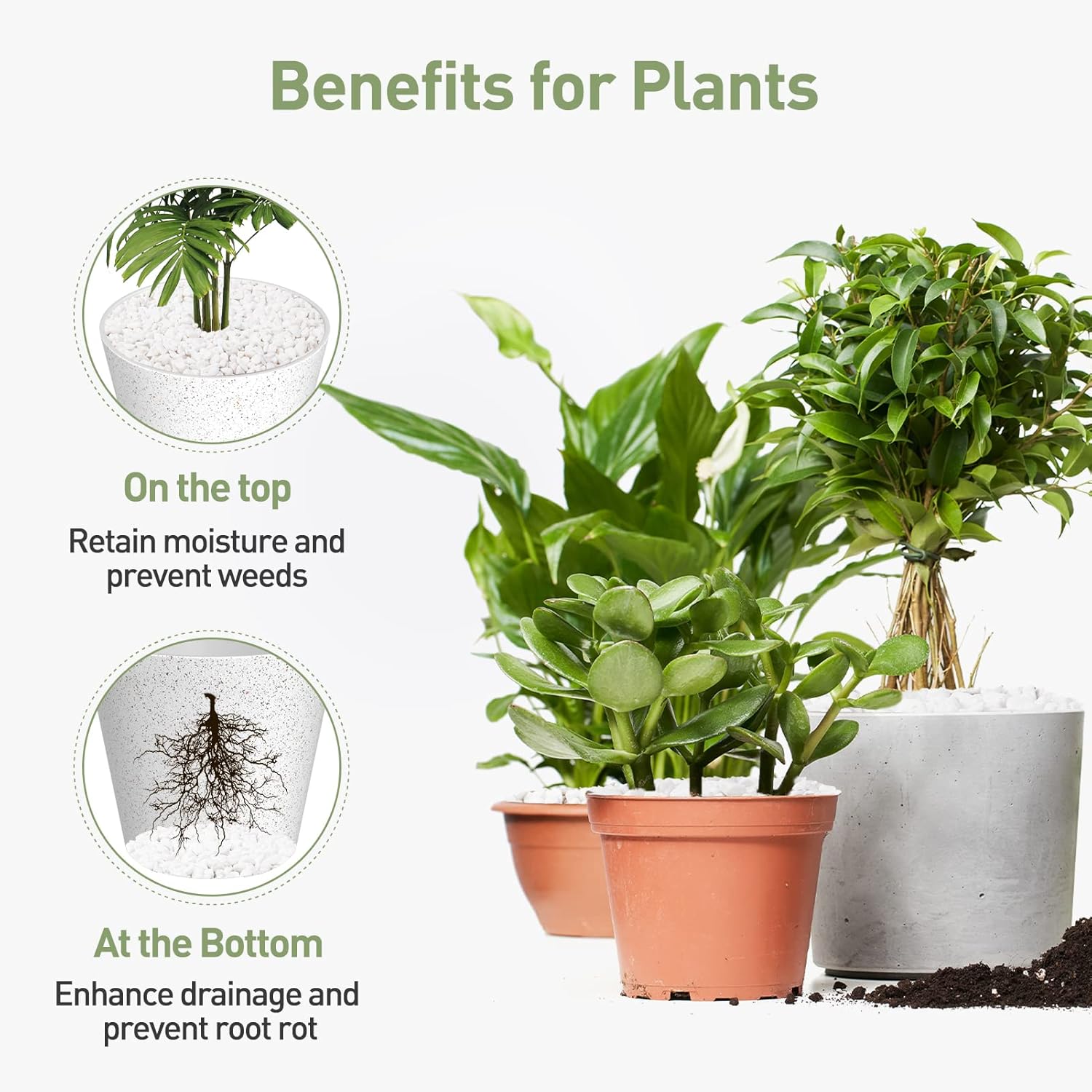 GASPRO Grava de 10 libras para plantas, guijarros blancos de 15 pulgadas para terrario, grava decorativa natural para suculentas, cactus, jarrones,
