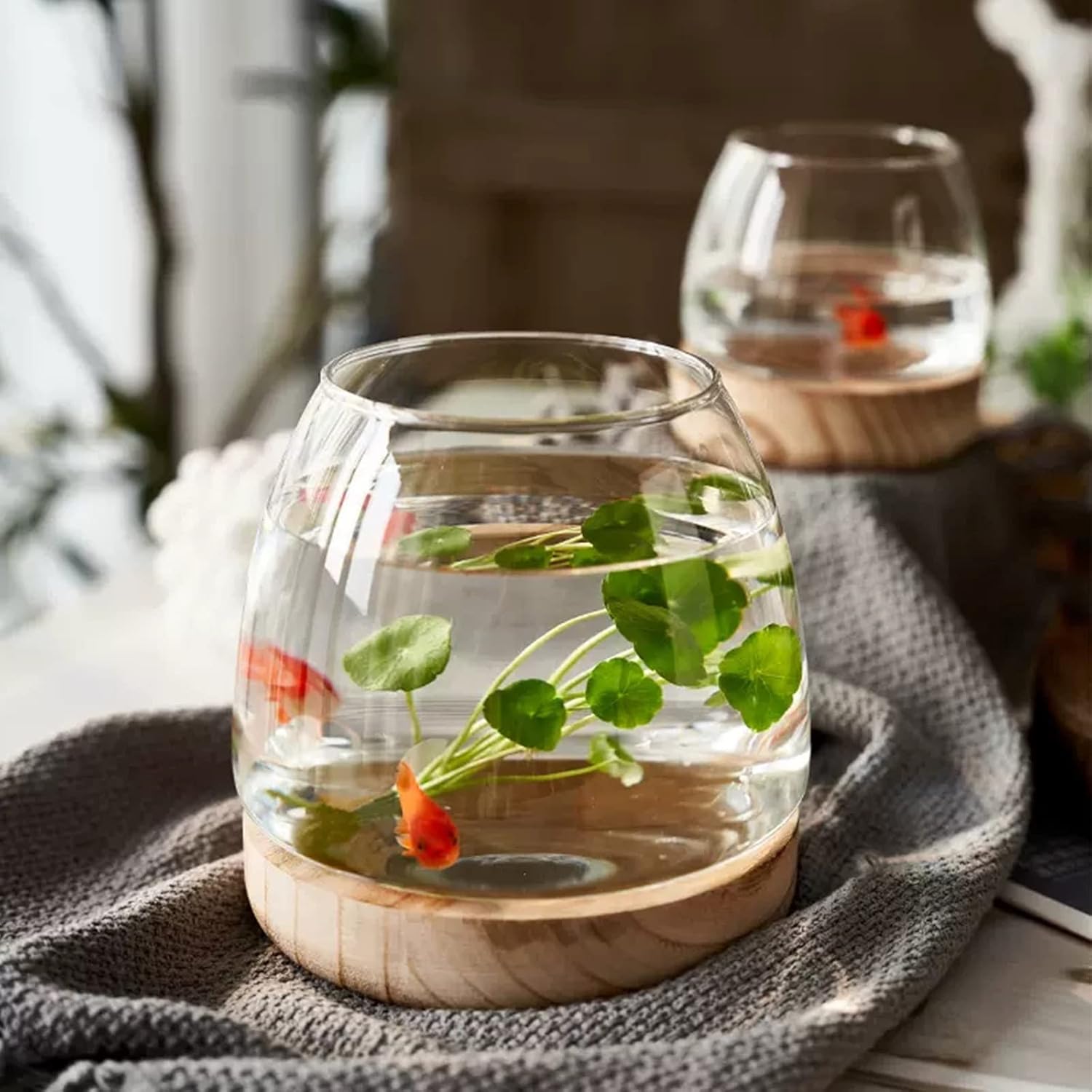 Jarrón de vidrio con base de madera desmontable, pequeño jarrón de vidrio de escritorio para plantas hidropónicas, terrario ecológico, acuario,