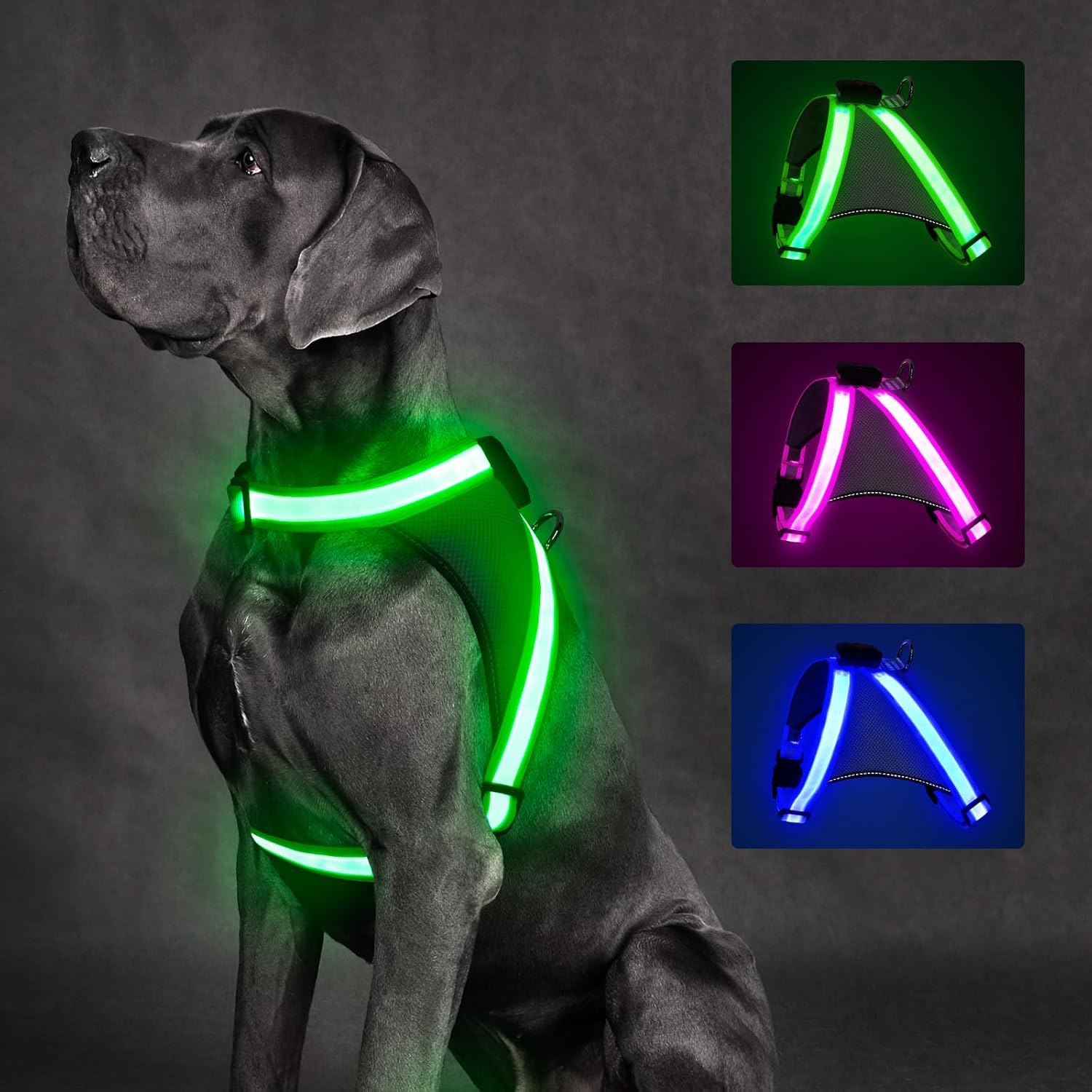 Arnés para perro con luces LED, sin tirones, que brilla en la oscuridad para caminar por la noche, chaleco de seguridad con luz recargable por USB