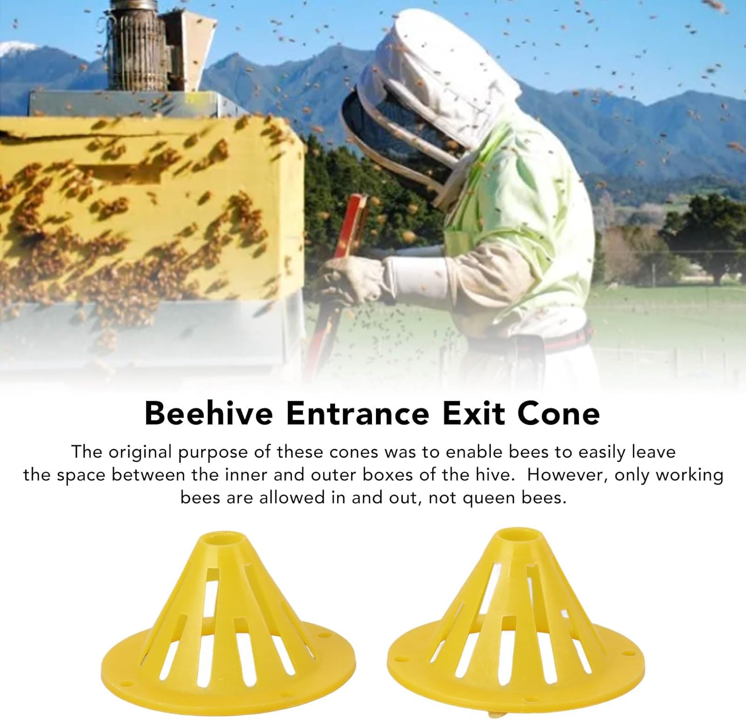 TOPINCN 20 Pcs Beehive Entrance Exit Cone Gate Beekeeping Hive Export Escaper Accessories Tools Plastic Pack Gate Door Hive Beehive Packing Tools