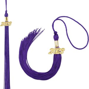 2 borlas de graduación académica de graduación 2023 para decoración de gorro de graduación, borla con dije dorado 2023, accesorios de ceremonias de 2 borlas de graduación académica de graduación 2023 para decoración de gorro de graduación, borla con dije dorado 2023, accesorios de ceremonias de