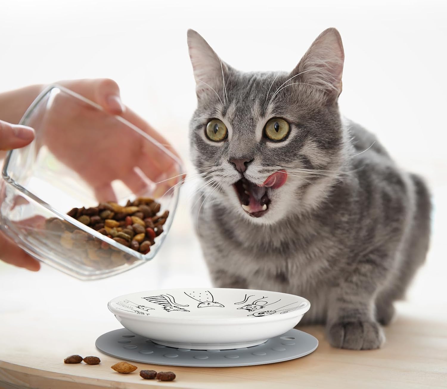 6 cuencos para gatos con 6 alfombrillas antideslizantes de silicona, plato de cerámica para comida, cuenco de comida húmeda para gatos, plato de