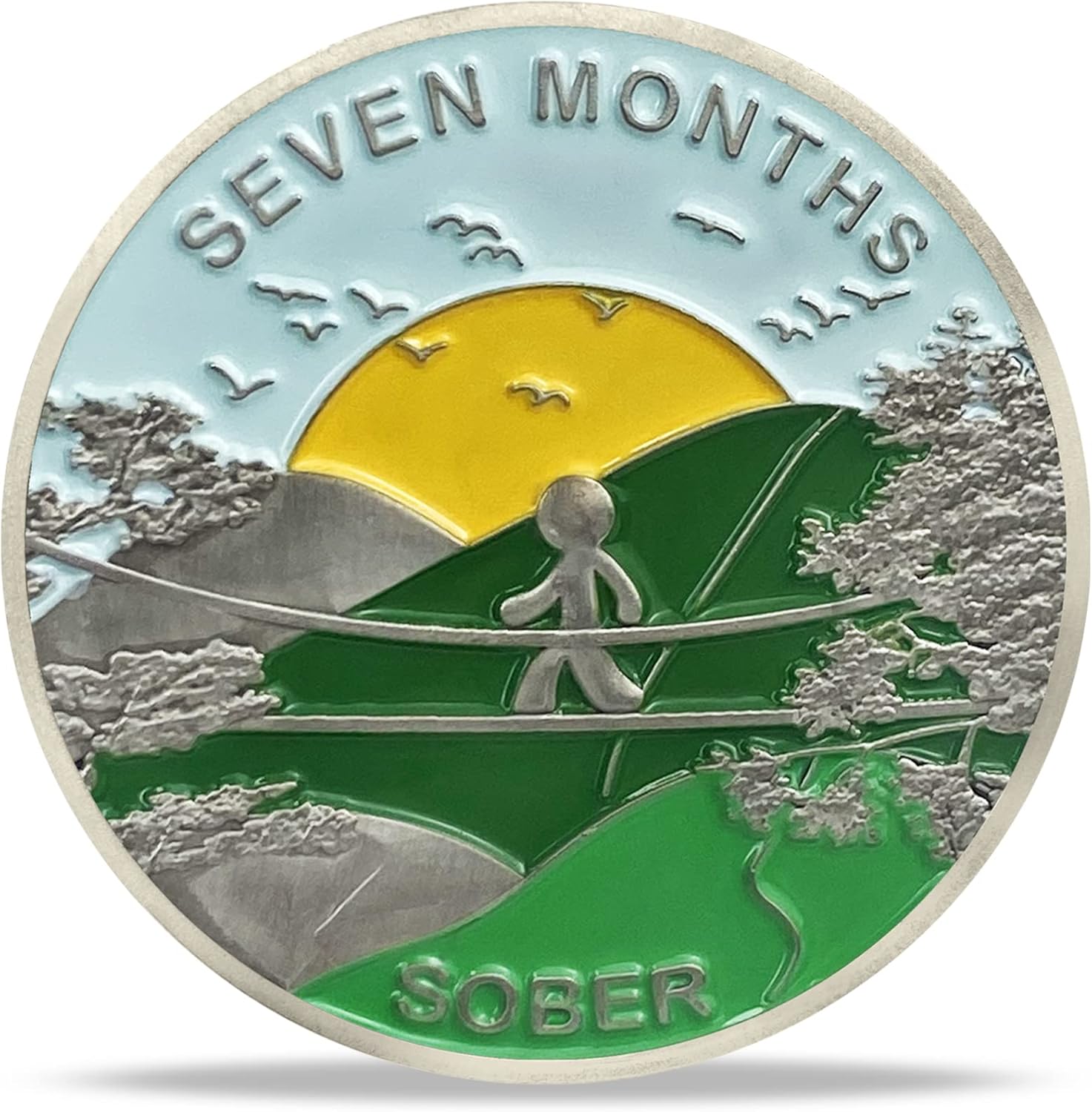 Moneda de sobriedad de 7 meses Alcohólicos Medallón Anónimo AA, Token de chip AA, regalos de sobriedad para mujeres y hombres en recuperación (1-12