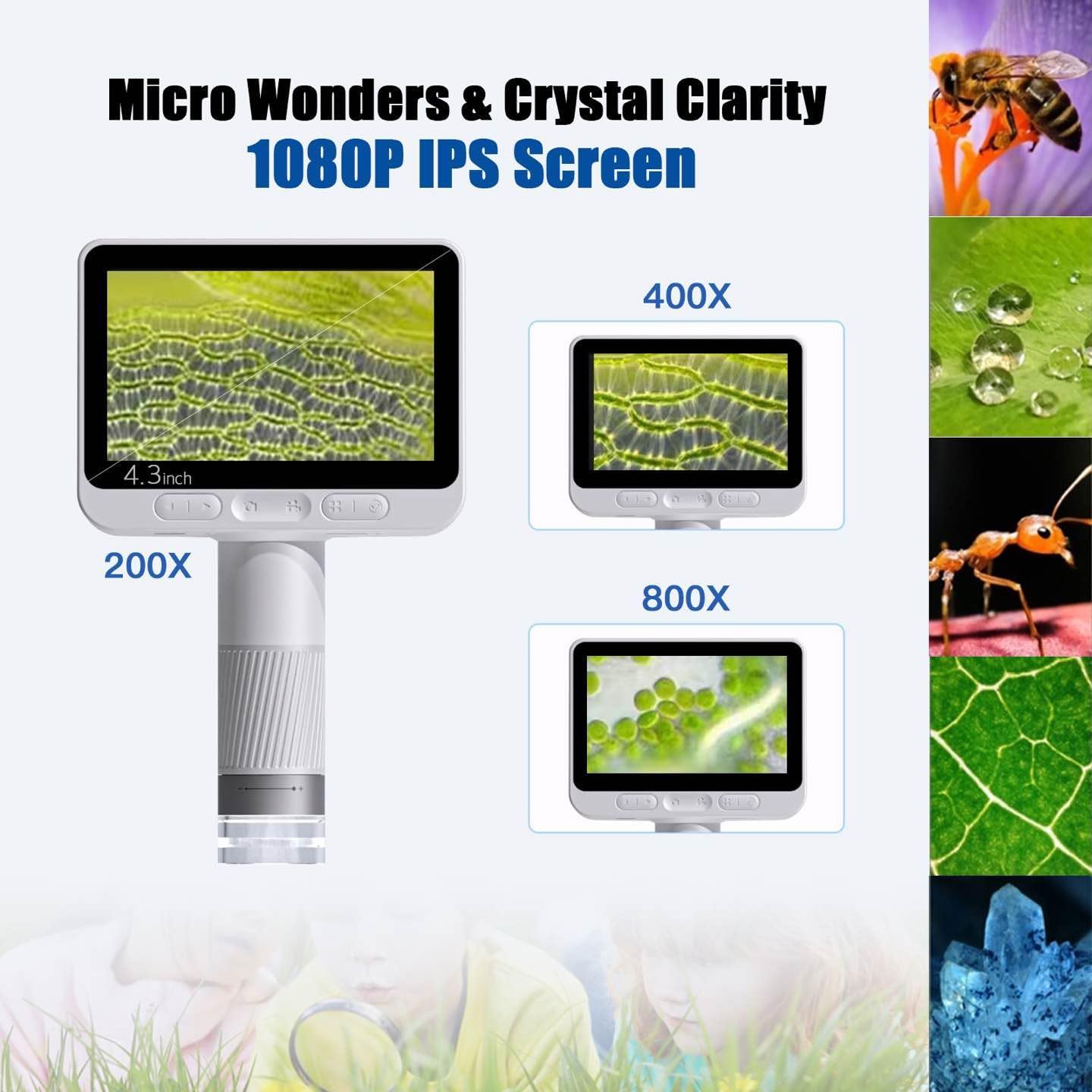 BEAVERLAB Microscopio digital con pantalla IPS 1080P de 4.3 pulgadas, ligero y portátil, aumento de 1600x para niños y adultos, exploración de la