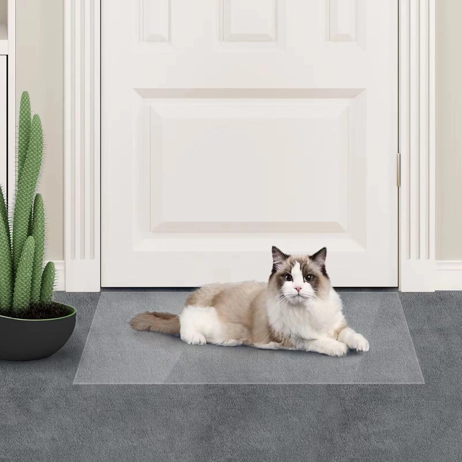 Protector de alfombra de gato, tapón de plástico resistente para arañazos para mascotas