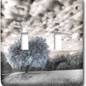 3dRose Italy, Puglia, Tivoli. Tree in the Villa Adriana – Light Switch Covers (lsp-366531-2) 3dRose Italy, Puglia, Tivoli. Tree in the Villa Adriana – Light Switch Covers (lsp-366531-2)