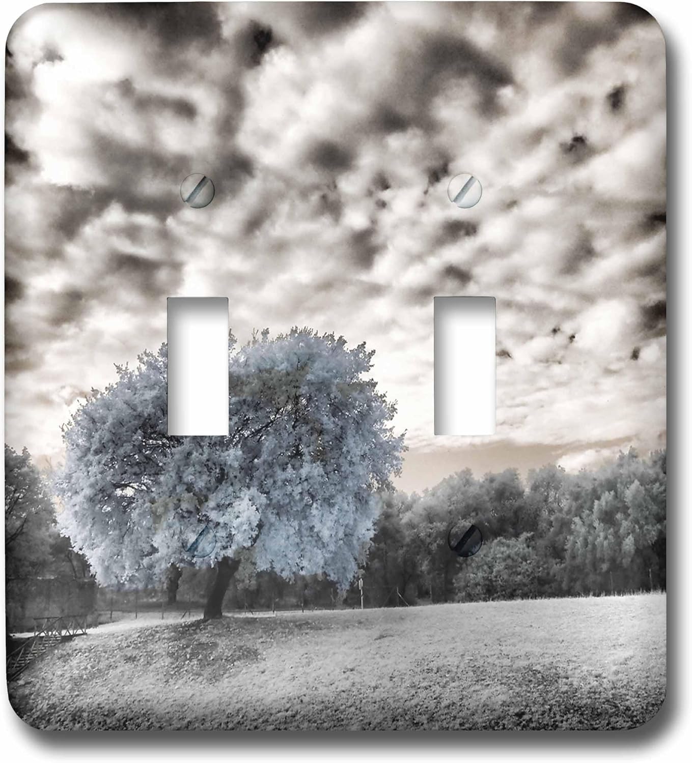 3dRose Italy, Puglia, Tivoli. Tree in the Villa Adriana – Light Switch Covers (lsp-366531-2)