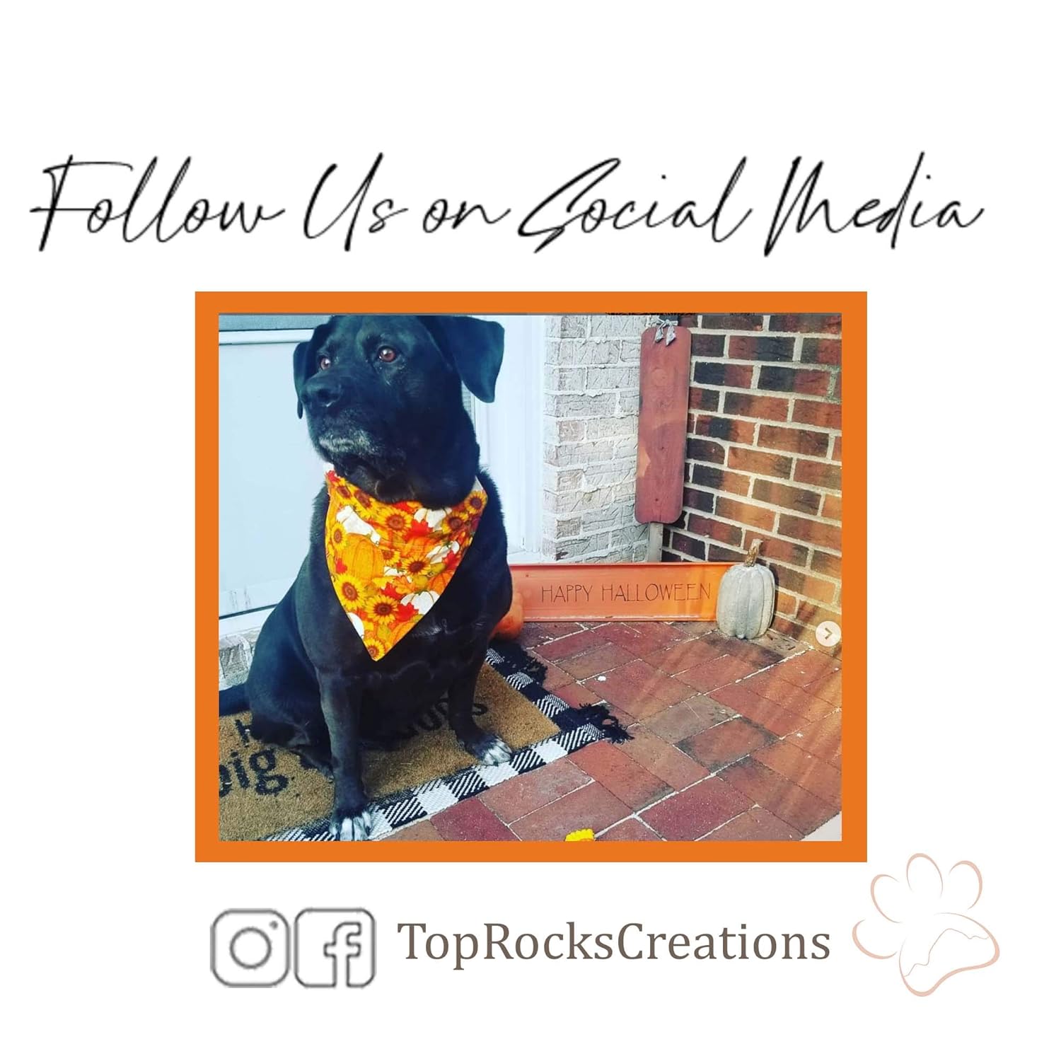 Santa Paws is Coming to Town Over the Collar Dog Bandana That Slips onto Their Existing Collar (Large)