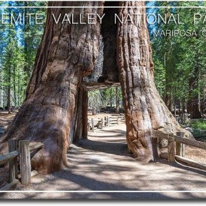 Mariposa Grove Yosemite National Park Travel Refrigerator Magnet Tamaño 2.5″ x 3.5″ Mariposa Grove Yosemite National Park Travel Refrigerator Magnet Tamaño 2.5″ x 3.5″
