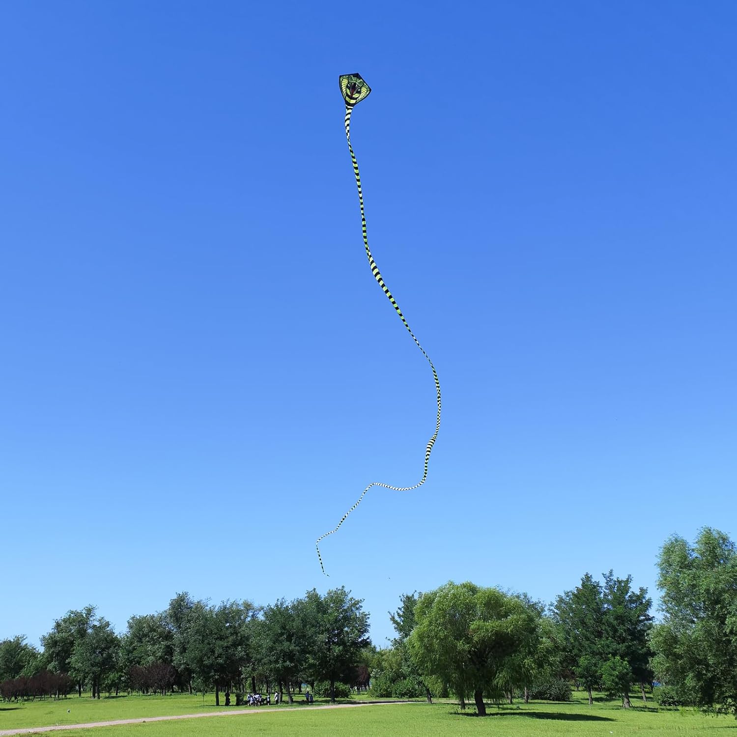 Large Cobra Kite for Adults Kids Boys with Super Long Tail, Extra Easy to Fly, Best Huge Kites for The BeachKite PartyFieldPark, It Will Dominate