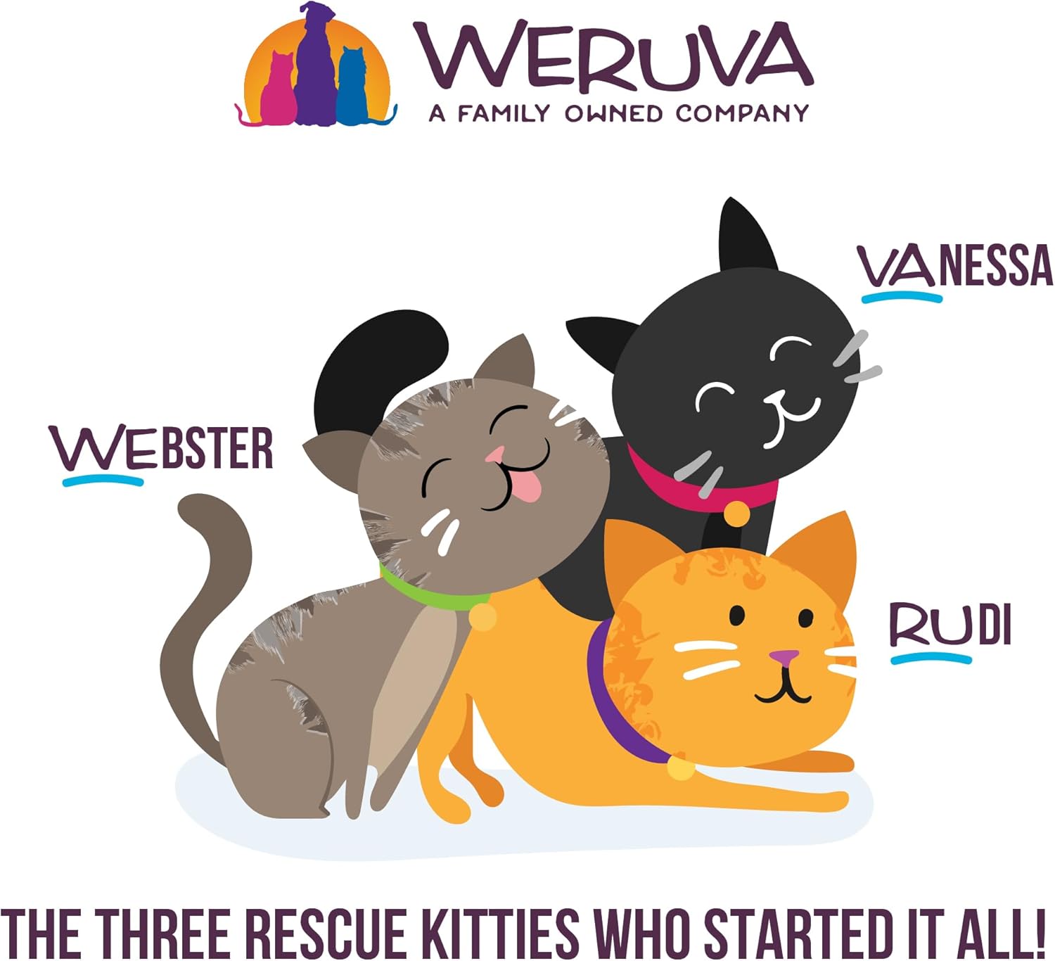 Weruva Paté clásico para gatos, comida o sin trato! con pollo y carne de res, lata de 3 onzas (paquete de 12)