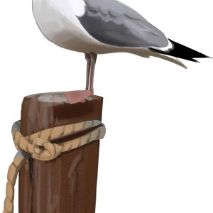 Calcomanías decorativas para pared de gaviota, calcomanías de escena de playa, rebaño de pájaros voladores, vinilo costero, sala de estar, baño, Calcomanías decorativas para pared de gaviota, calcomanías de escena de playa, rebaño de pájaros voladores, vinilo costero, sala de estar, baño,