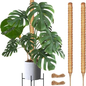 Joyhalo Poste de musgo para plantas, paquete de 2 estacas de soporte para plantas Monstera de 24 pulgadas, postes de musgo para plantas trepadoras, Joyhalo Poste de musgo para plantas, paquete de 2 estacas de soporte para plantas Monstera de 24 pulgadas, postes de musgo para plantas trepadoras,