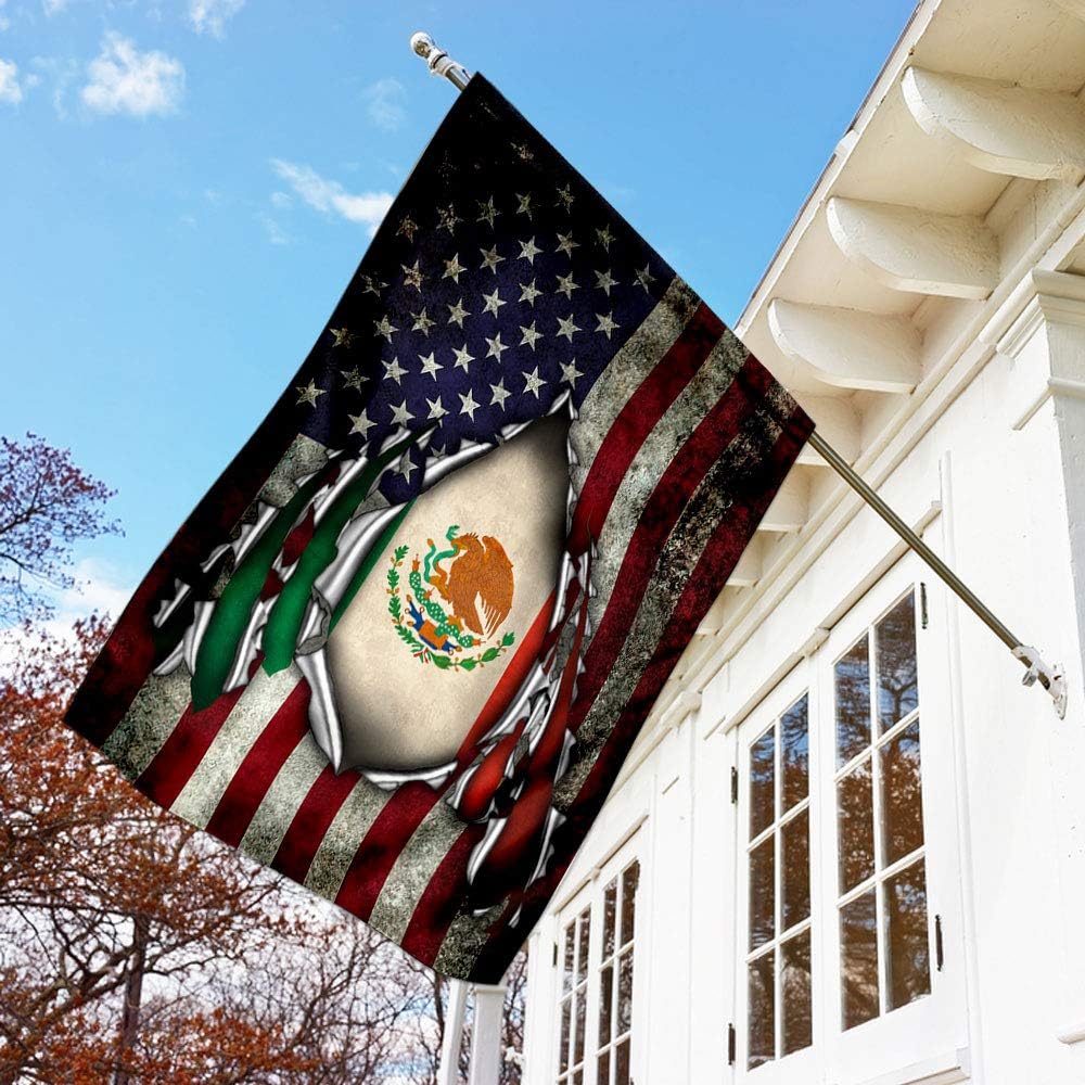 Banderas QNK265F, bandera de casa (29.5 x 39.5 pulgadas), banderas de jardín de casa de poliéster de alta calidad, banderas decorativas para