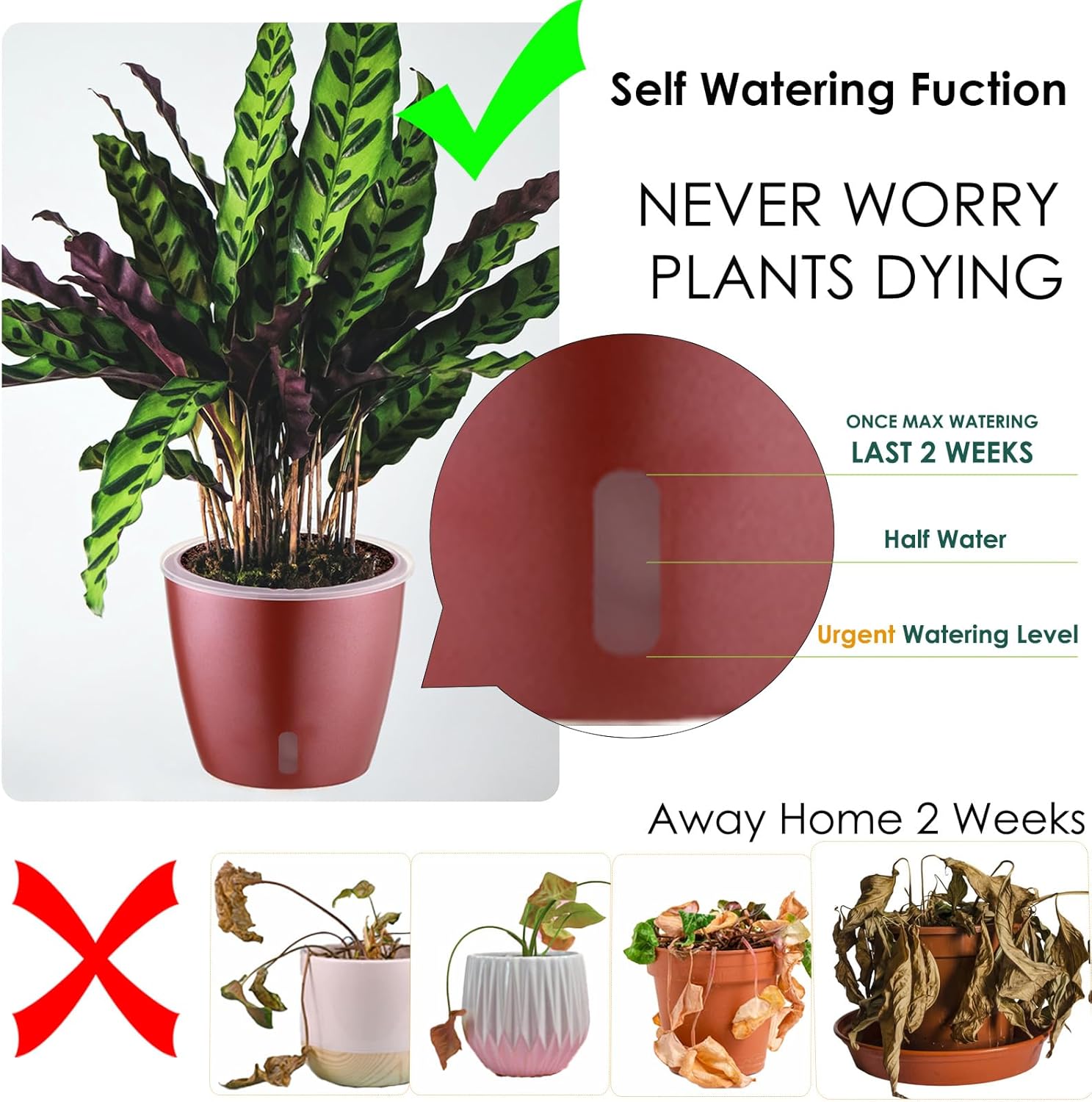Paquete de 6 macetas de riego automático de 5 pulgadas para plantas de interior con indicador, maceta de orquídeas con mecha transparente para