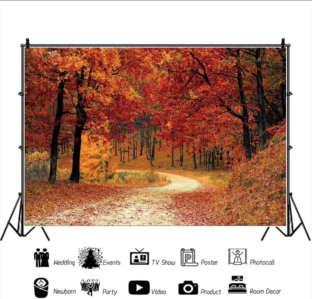 Leyiyi Telón de fondo de bosque de otoño de 5 x 3 pies, árboles de arce rojo, camino de montaña, paisaje caducifolio, Acción de Gracias, fotografía,