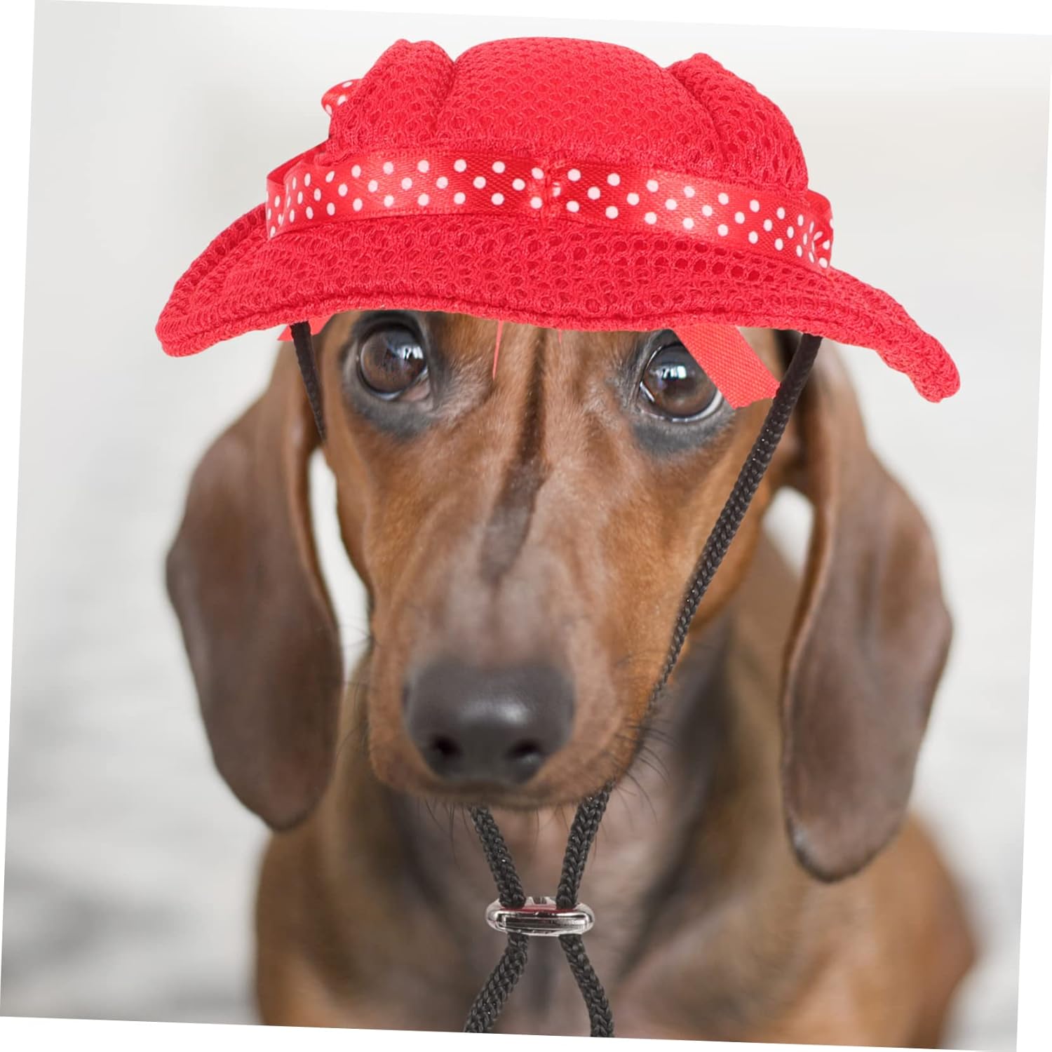 MERRYHAPY 3 piezas de sombrero de princesa para mascotas, gorras de béisbol para perros, sombrero encantador para perro, traje de baño para perro,