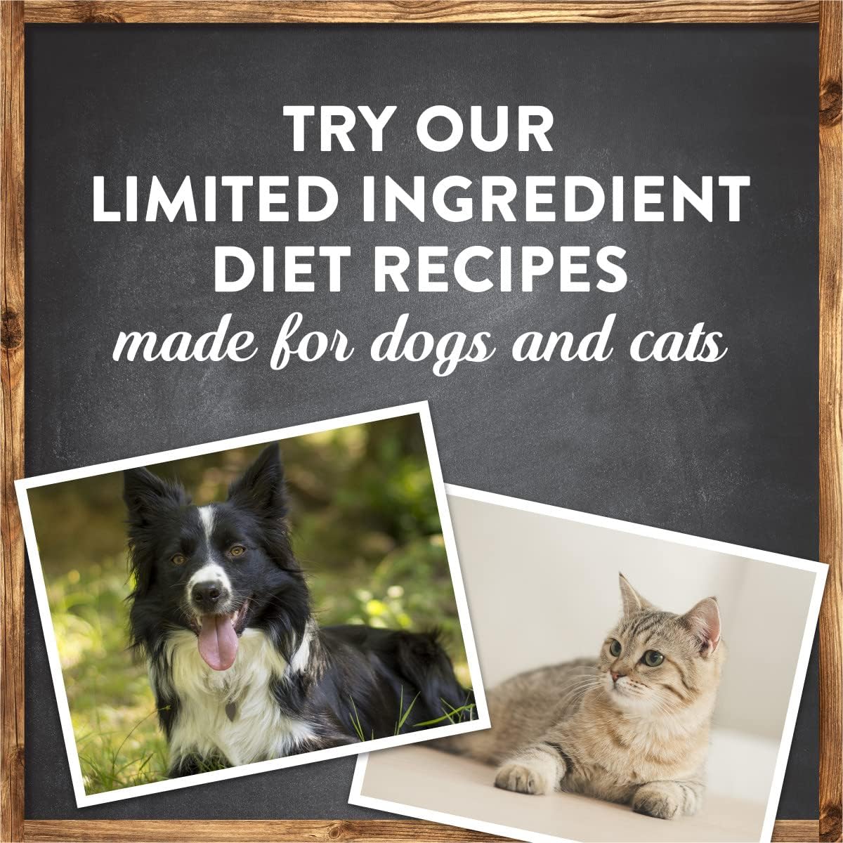 Merrick Alimento seco para perros sin cereales de ingredientes limitados, croquetas premium y saludables con cordero y batata, bolsa de 4.0 libras