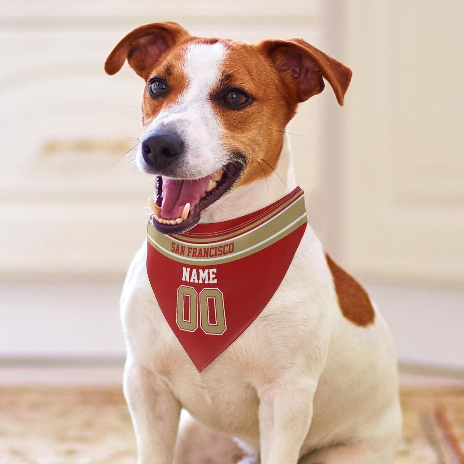 San Francisco – Bandana personalizada para perro, diseño personalizado con nombre, número de perro, bufanda de fútbol para perros, regalos para