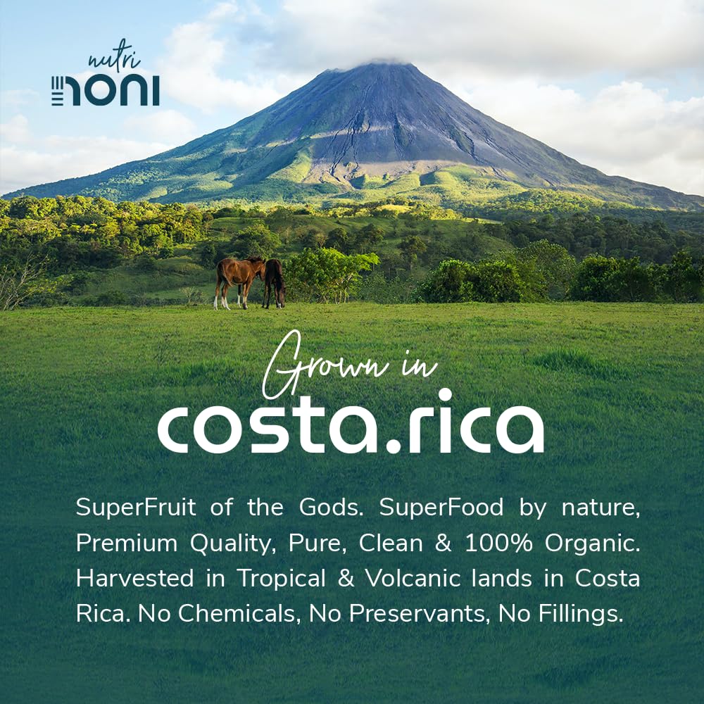 Nutri Noni Té Noni orgánico costarricense 100% puro. Hecho estrictamente a partir de brotes de hoja de noni, hoja rota. 25 porciones. Suelto, sin