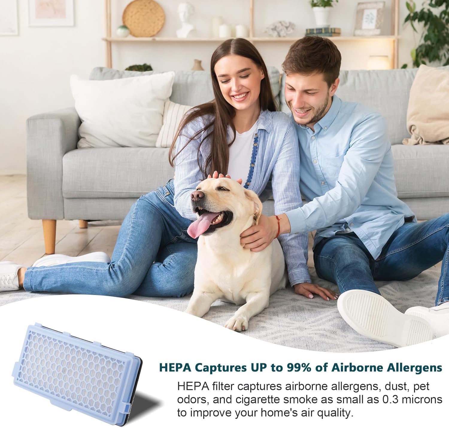 NUHFUFA Paquete de 1 cartucho de filtro SF-HA 50 HEPA AirClean compatible con accesorios de aspiradora Miele S4, S5, S6, S8