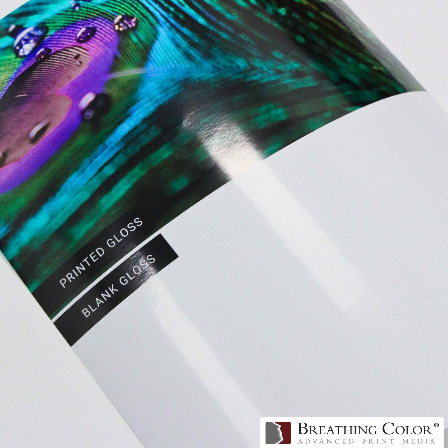 Vibrance – Papel brillante para impresora fotográfica, 8.99 ozm, acabado brillante, rollo de papel fotográfico de alta calidad con núcleo de 3