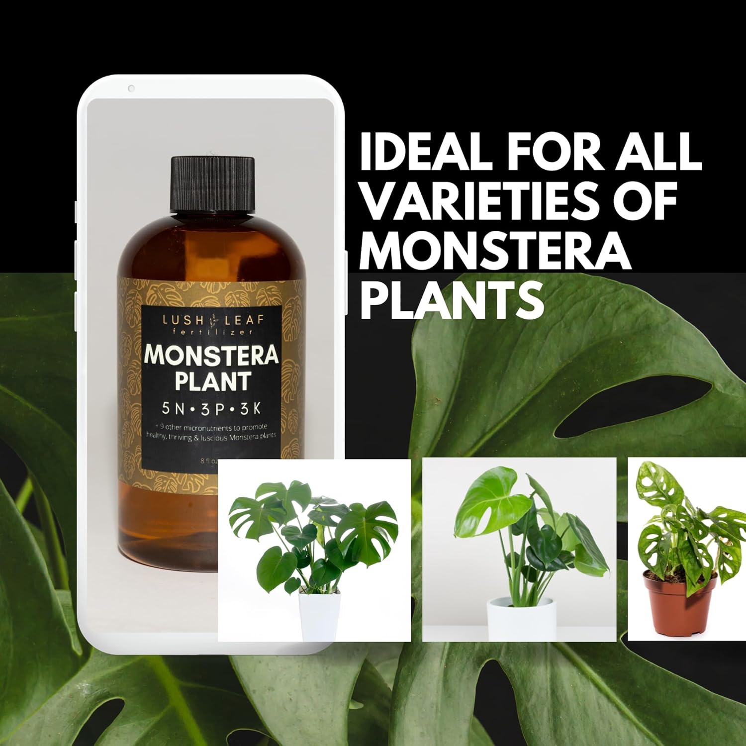 Lush Leaf  Alimento vegetal (Monstera)