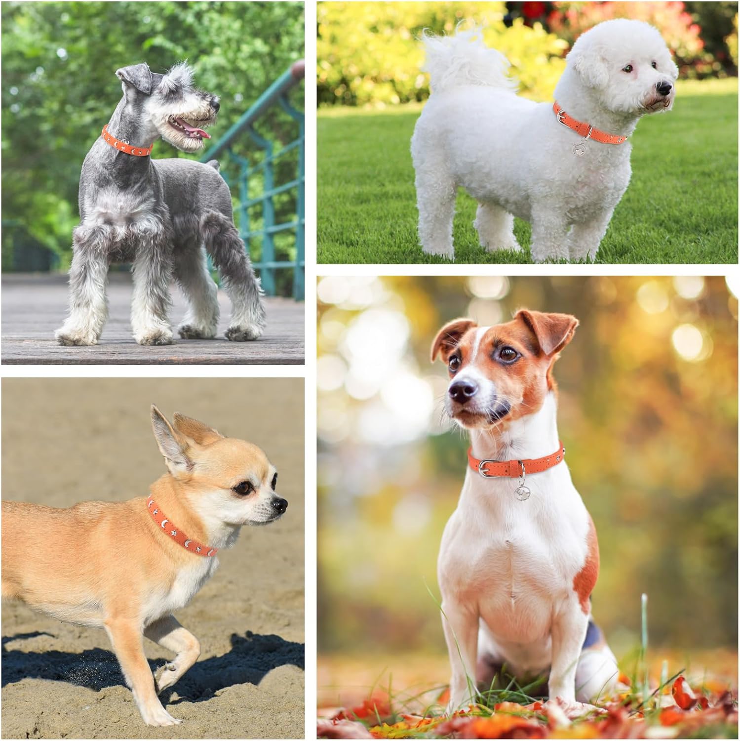 Collar de cuero para perros pequeños y medianos, collar ajustable con remache de estrella y luna con hebilla de metal resistente al óxido, collares