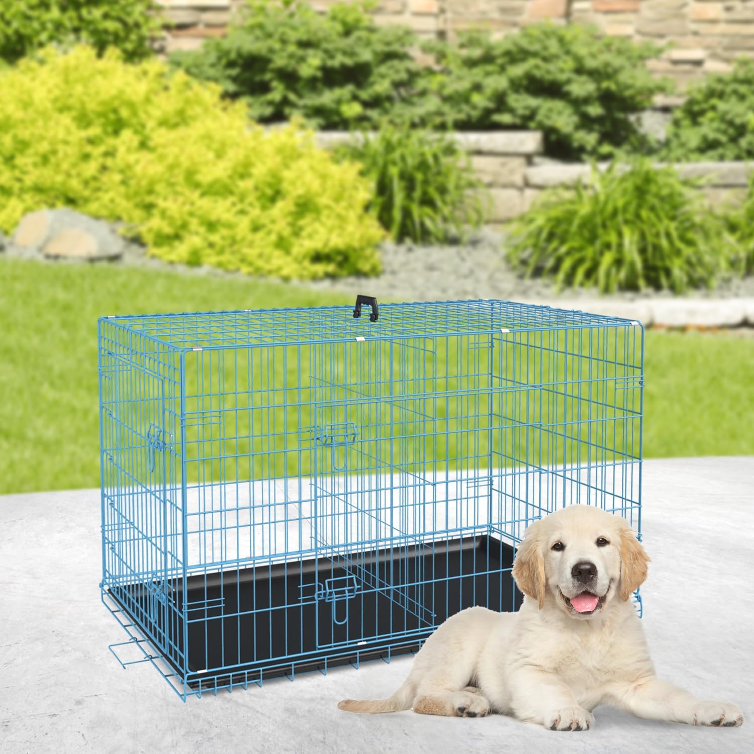 Petmate – Jaulas plegables de alambre de metal, de 24 pulgadas, para perros grandes, para exteriores e interiores, con doble puerta, bandeja