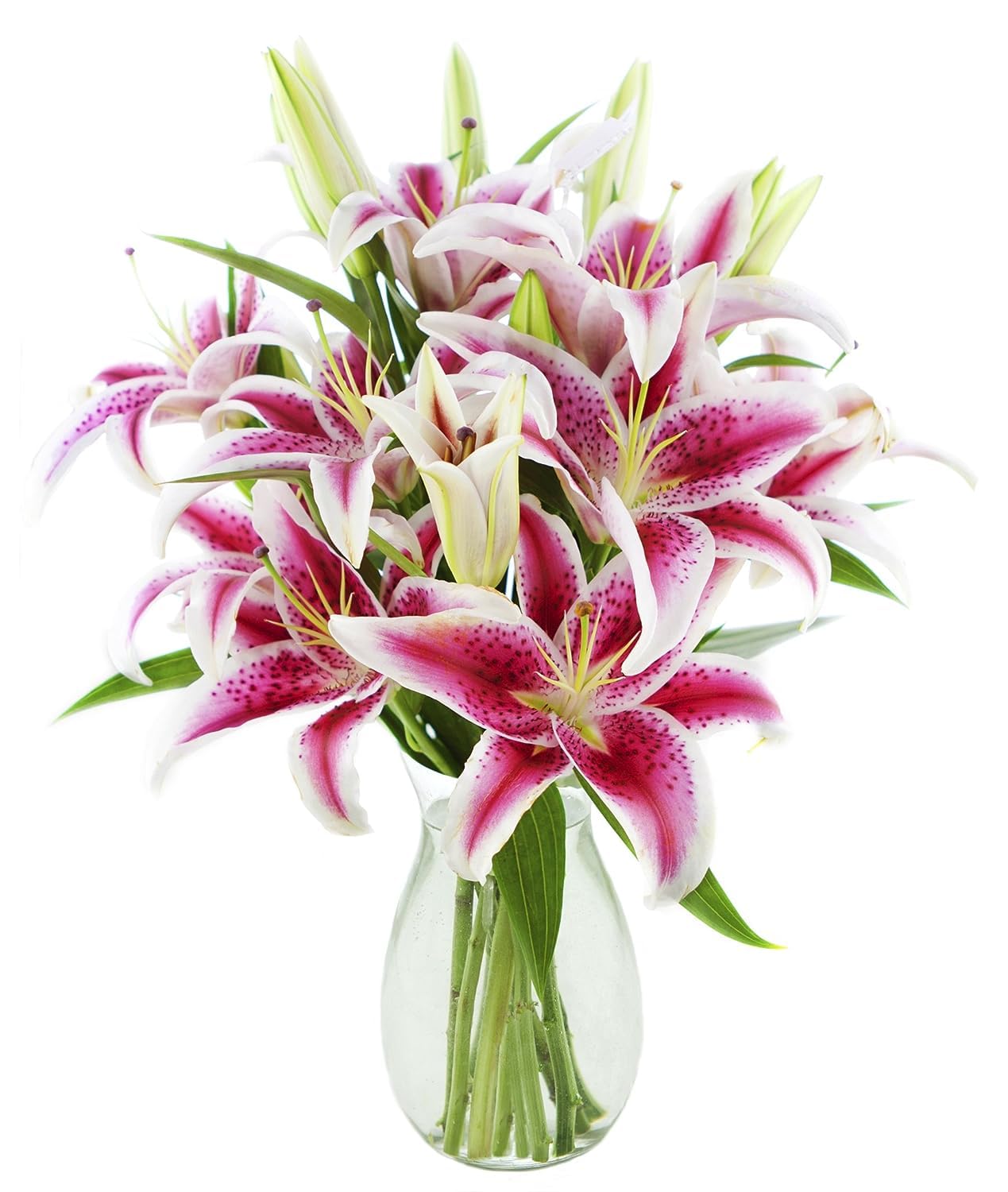 KaBloom Prime Next Day Delivery – Colección Hollywood, ramo rosa de Barbie de 10 lirios Stargazer rosas con jarrón. Regalo para cumpleaños,