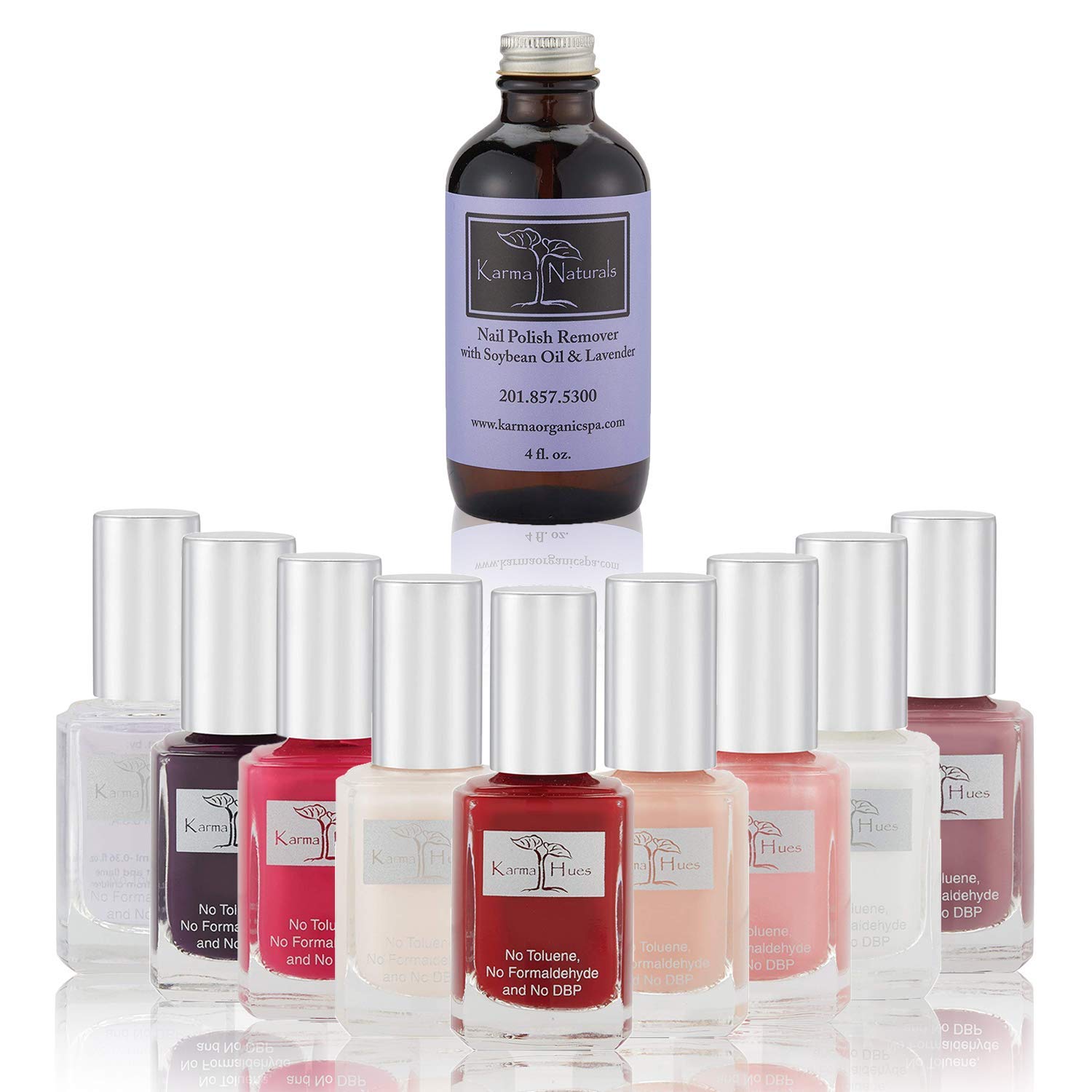 Esmalte de uñas de Navidad Karma’s Splash  Juego de base de esmalte de uñas natural  Removedor de esmalte de uñas lavanda  Arte de uñas no tóxico