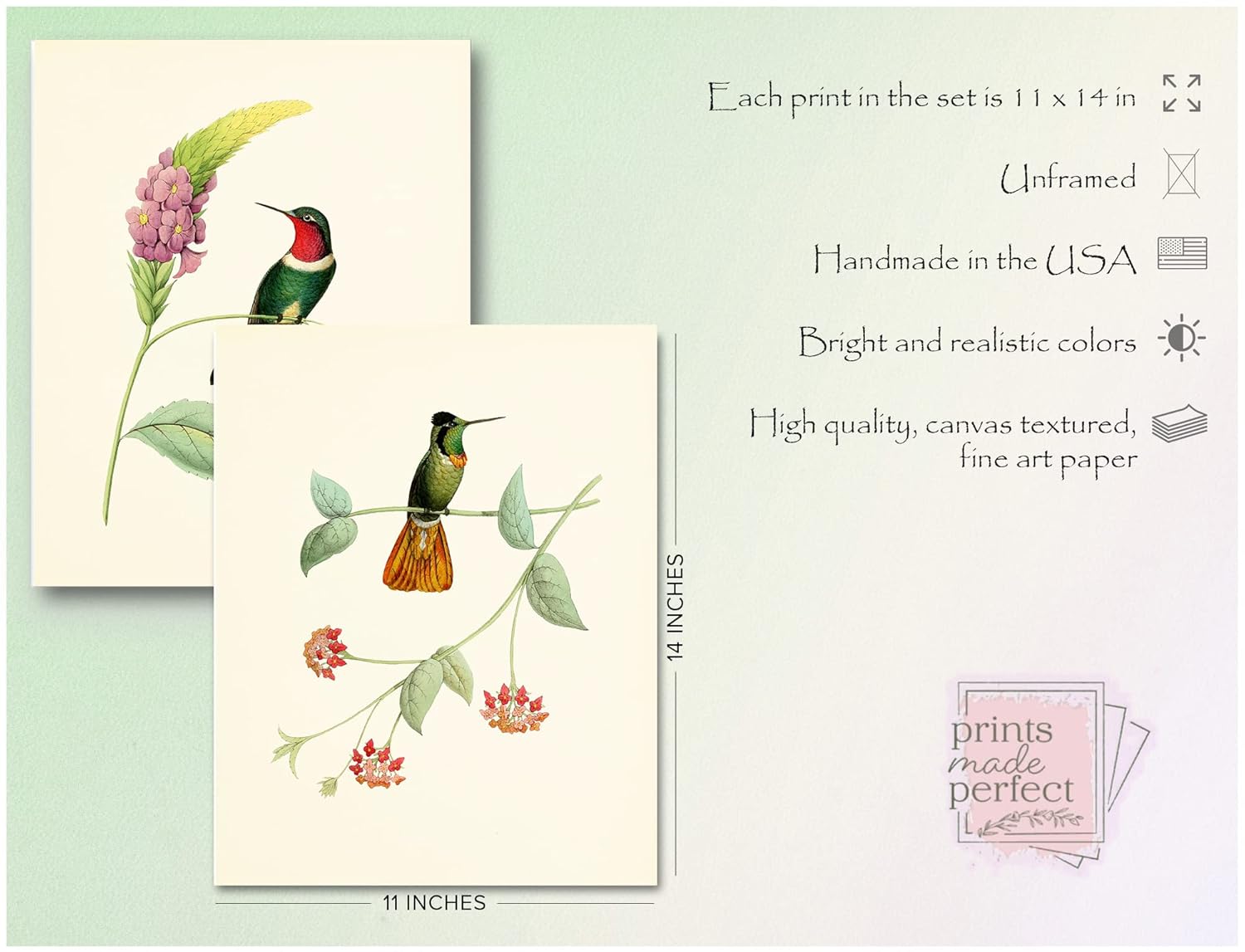 Hummingbird Art Prints – Bird Art – Botanical Wall Decor – Vintage Wall Decor- Humming Birds With Botanical Plants Pictures – Unframed (11×14)