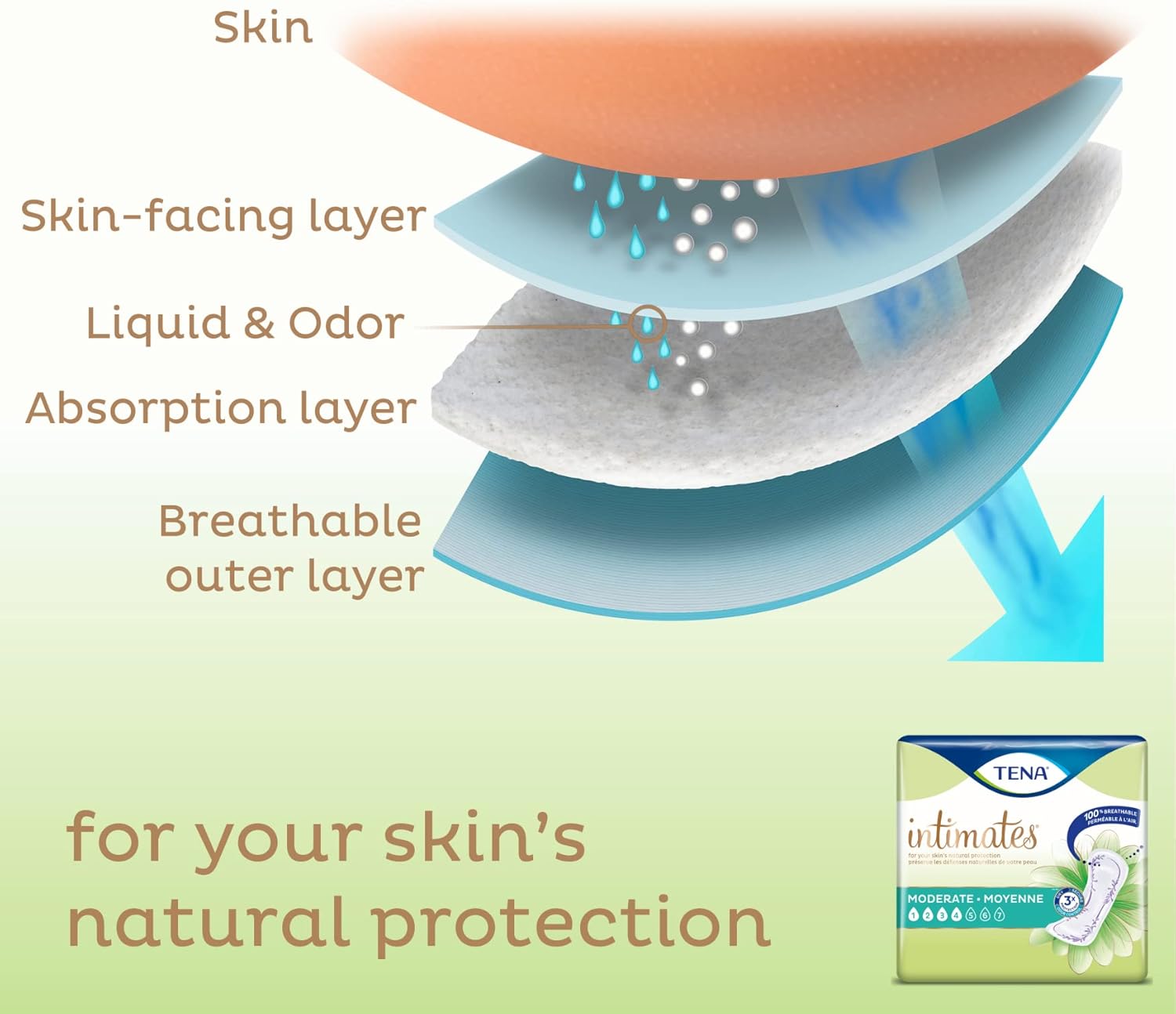 TENA Sensitive Care – Almohadilla moderada para fugas de vejiga para mujeres, absorción moderada, longitud regular, 120 paquetes en total, 6 paquetes