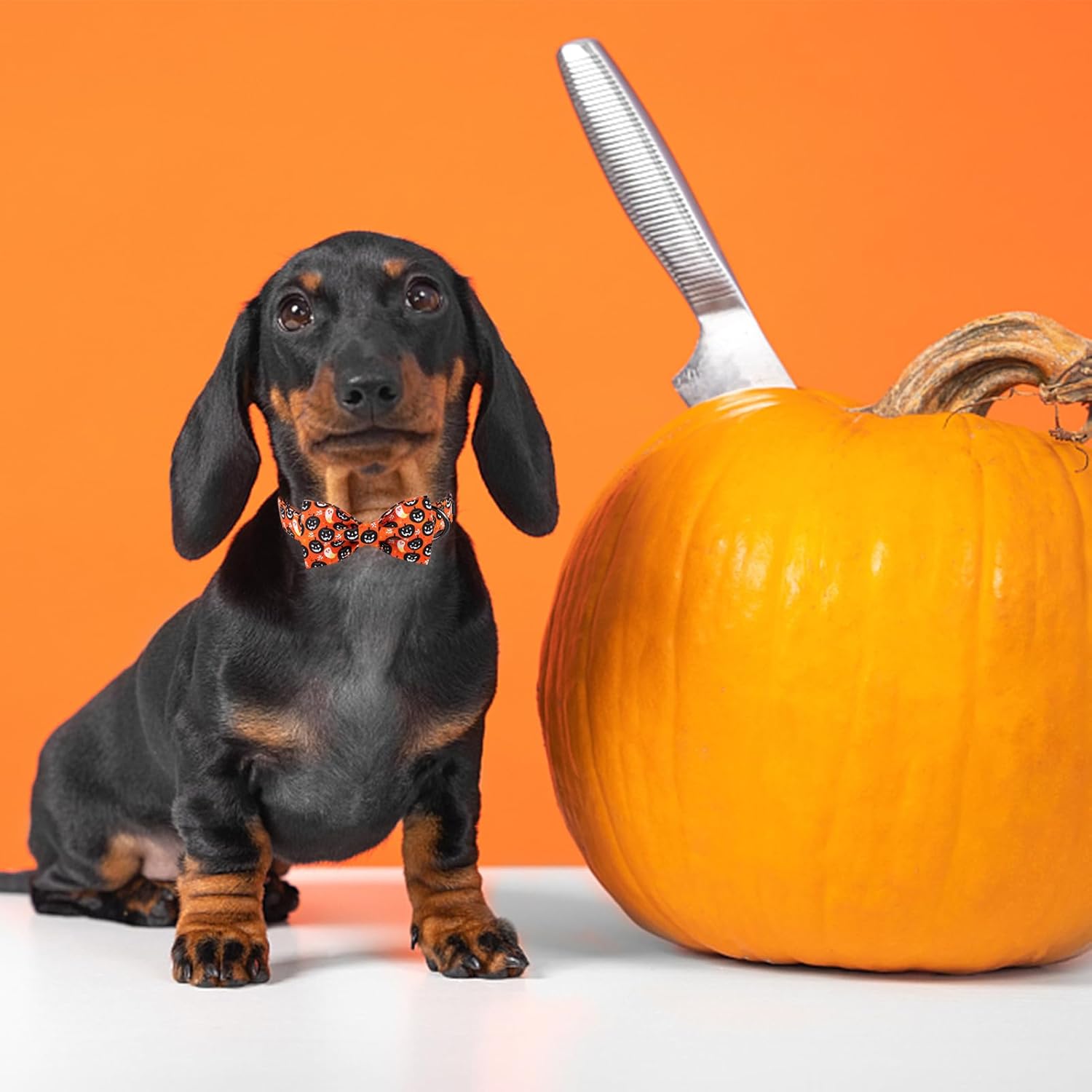Collar de perro de Halloween con lazo MR. CHUBBYFACE – Collar con diseño de calabaza y fantasma con corbatín para cachorros, perros pequeños,