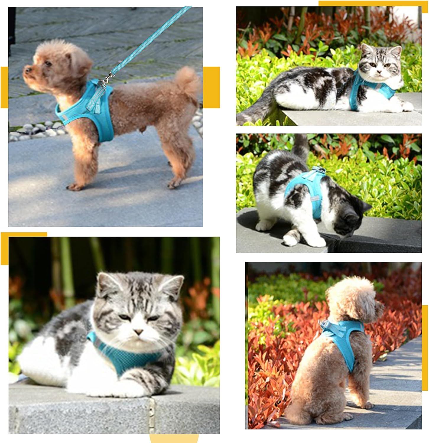 Juego de arnés y correa para perro, arnés de chaleco para perro para gatos y cachorros, arnés reflectante para mascotas sin tirones para perros