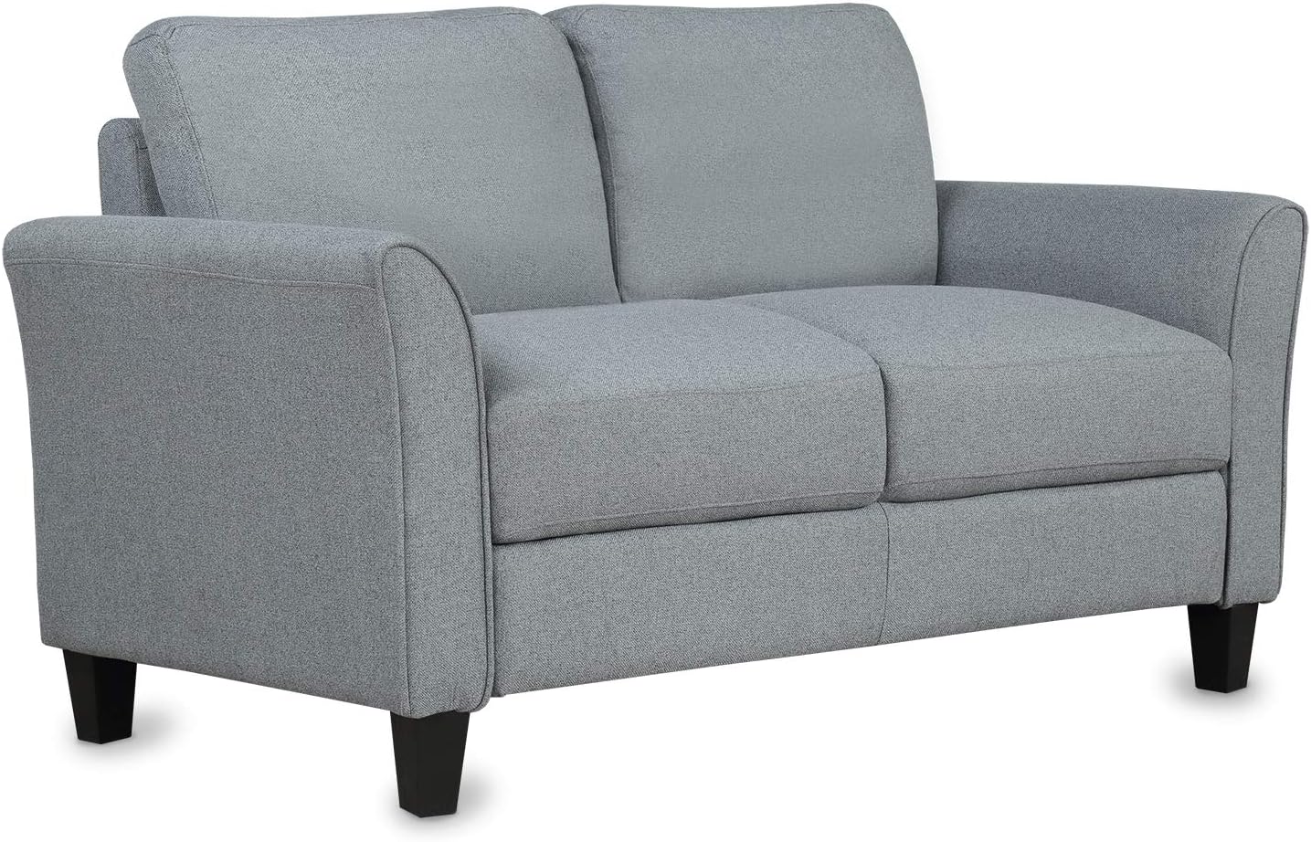 Goohome Sofá biplaza moderno de 2 plazas, muebles de sala de estar, sofá doble, cómodo sofá extra profundo, sofá para espacios pequeños, sala de