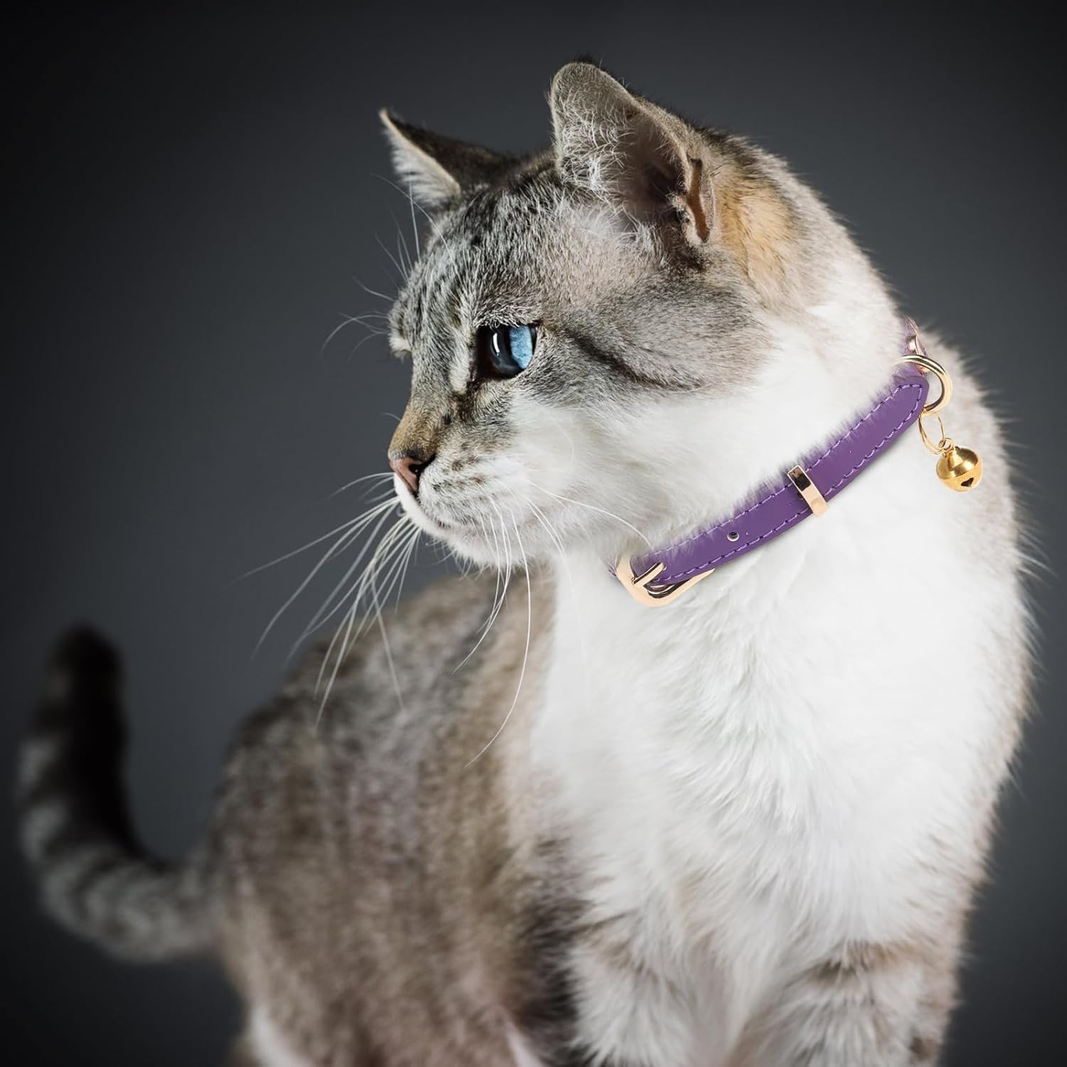 Collar de cuero para gatos con campana y correa de seguridad elástica, collares ajustables para gatitos para hembras, niños, gatos, cachorros,
