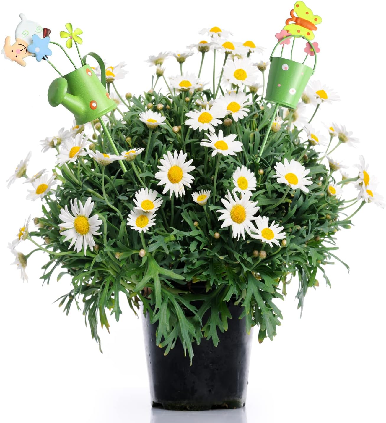 Paquete de 5 púas de metal para jardín de 10 pulgadas, estacas decorativas para plantas en maceta, regadera pequeña con estaca floral de animales,