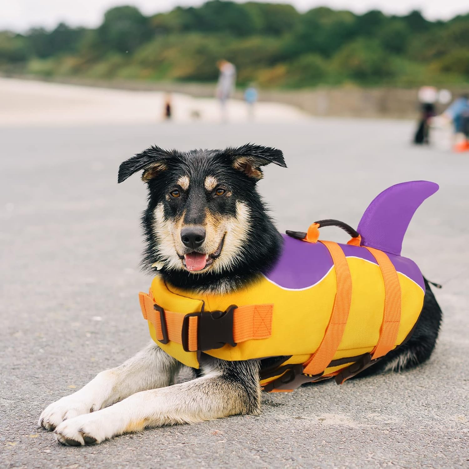 ASENKU Chaleco salvavidas para perros y mascotas, chaleco salvavidas de seguridad para nadar en barco, chalecos salvavidas para perros y tiburones,