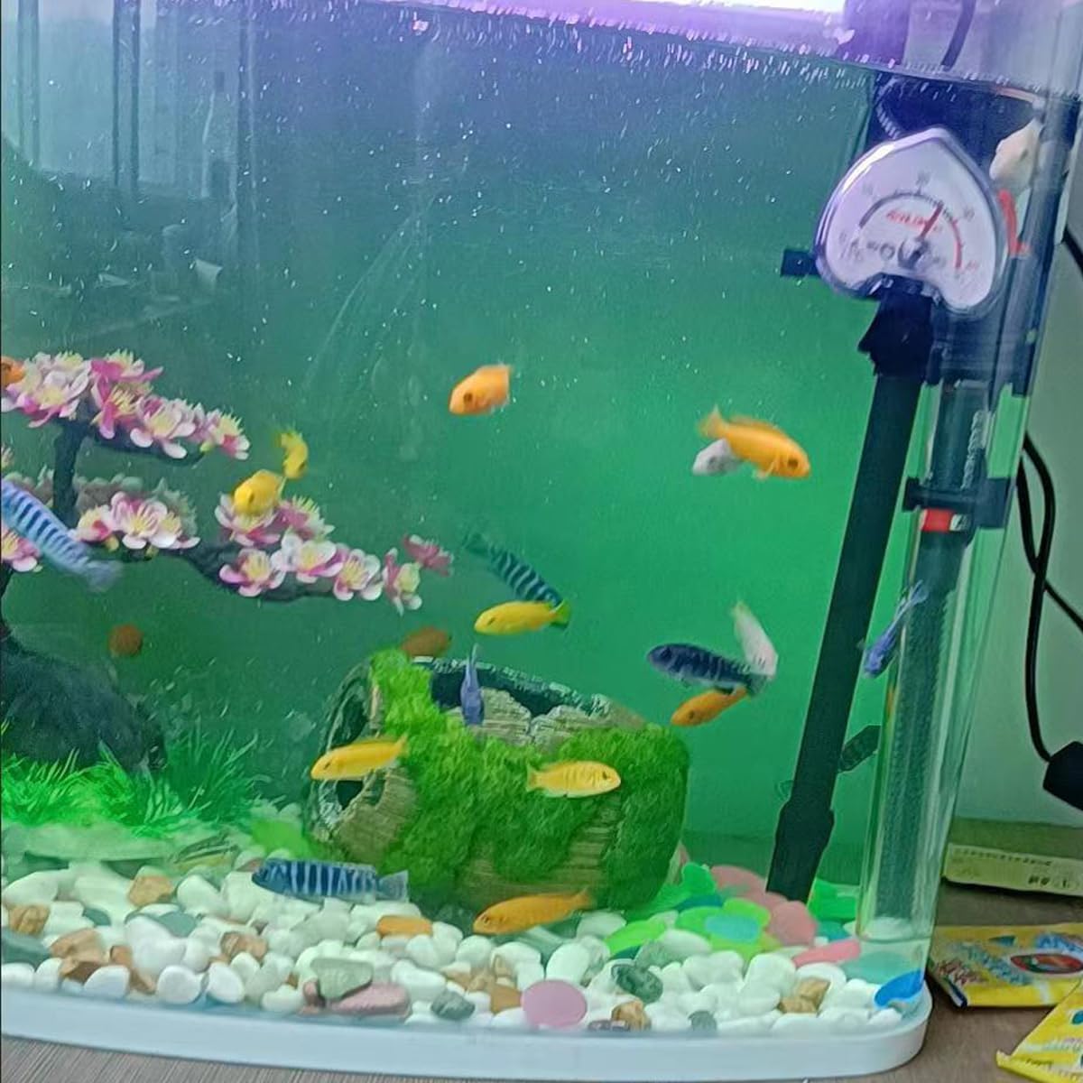 Betta – Accesorios decorativos para pecera, escondite de acuario de cueva de peces pequeño, adorno de pecera de 5 pulgadas