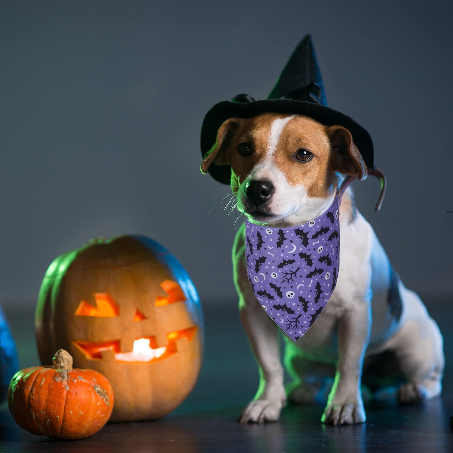 ADOGGYGO Paquete de 2 bandanas de Halloween para perro, bufanda triangular reversible para perro, accesorios de Halloween para perros grandes y