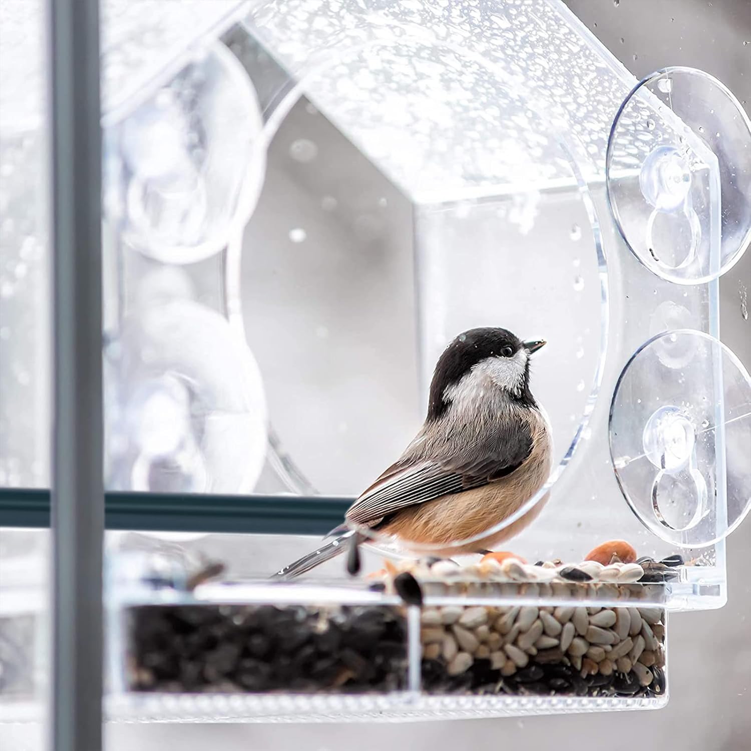 Comederos para pájaros de ventana, comederos de plástico transparente con 4 ventosas fuertes, bandeja deslizante y agujeros de drenaje para
