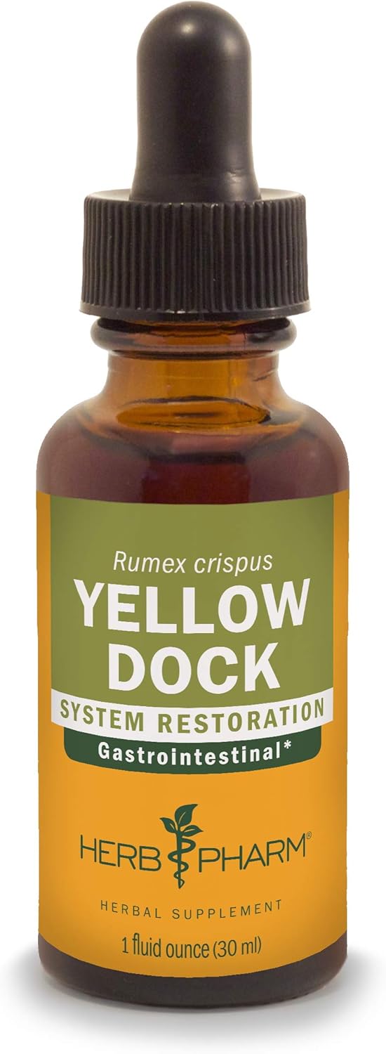 Herb Pharm Extracto líquido de muelle amarillo para apoyo del sistema digestivo – 1 onza