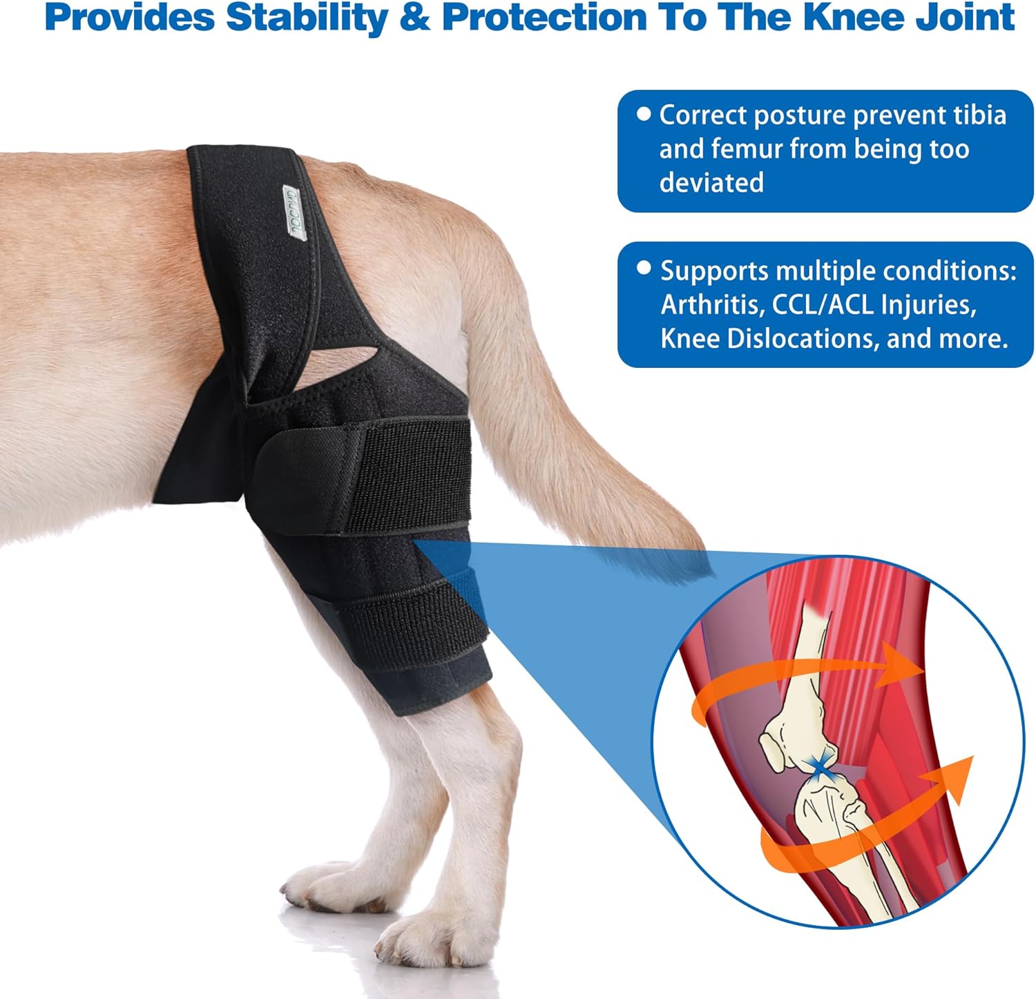 Rodillera de perro para pierna trasera de ACL desgarrada, soporte de pierna de perro para pierna trasera con soporte de metal, soporte de ACL para