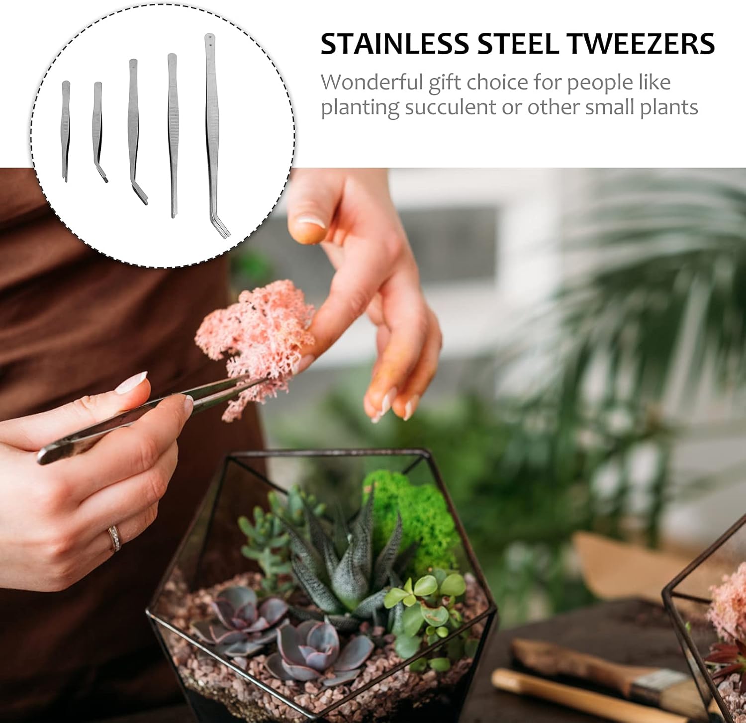 FOMIYES Juego de herramientas de bonsái de 5 piezas de pinzas de jardinería, kit de biselado, mini plantas suculentas, sellos, herramientas de
